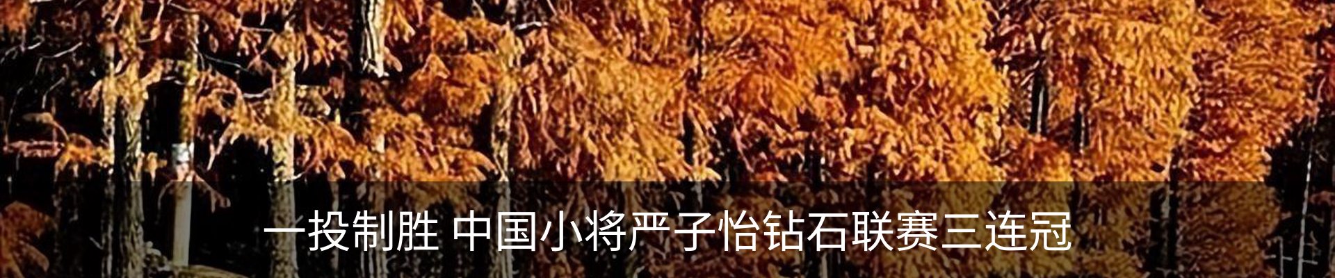 资讯动态