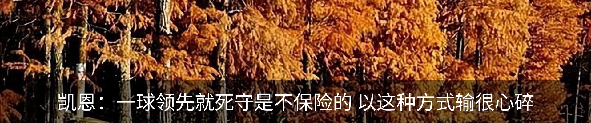 资讯动态