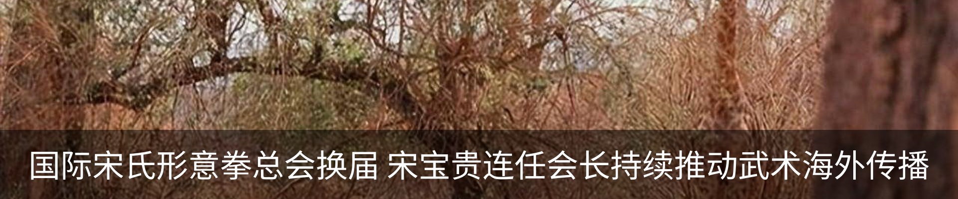资讯动态