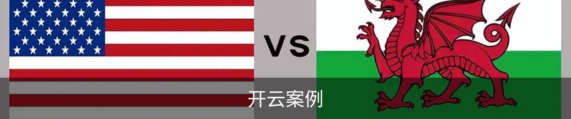 开云案例