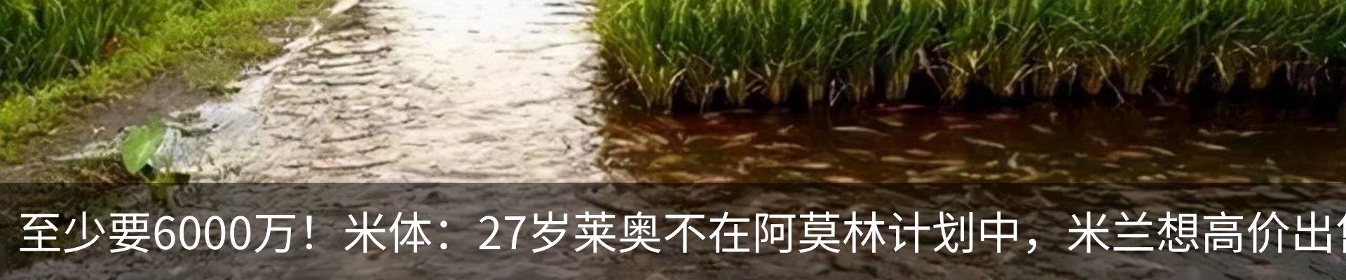 资讯动态