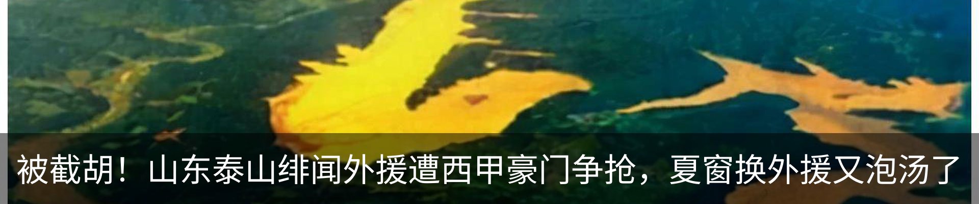 资讯动态