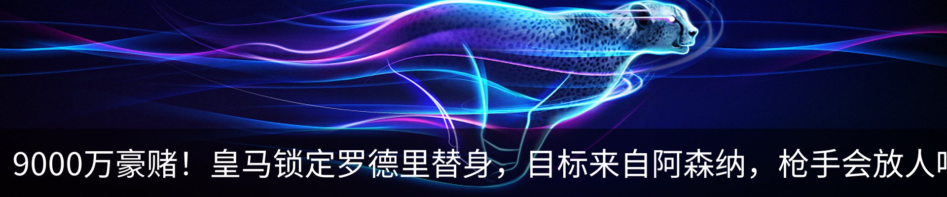 资讯动态